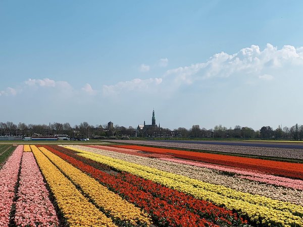 Secrets culinaires : comment éviter les grumeaux dans votre sauce burger maison ?