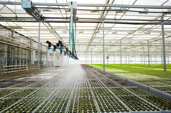 Comment les technologies de capteurs peuvent-elles être utilisées pour optimiser l'irrigation des espaces verts ?