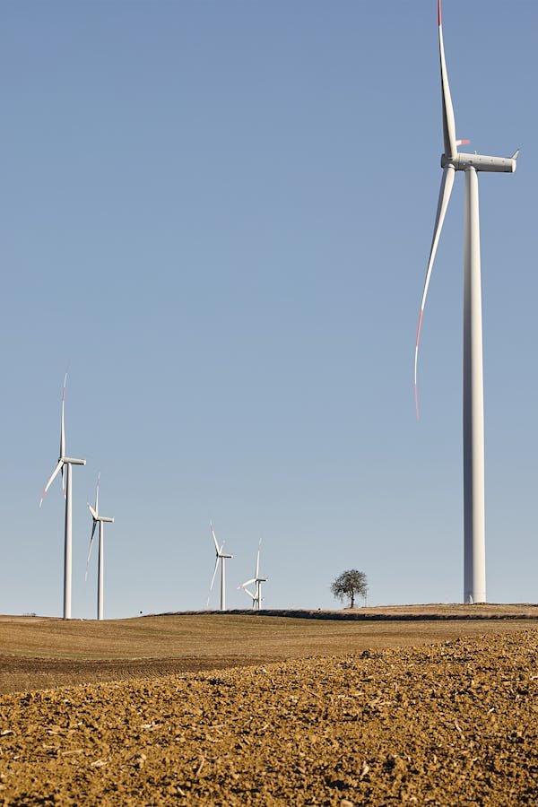 Avis sur Cap Soleil Energie : ce que les clients en pensent